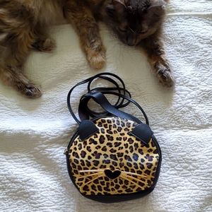 Kitty Kat purse 🐈